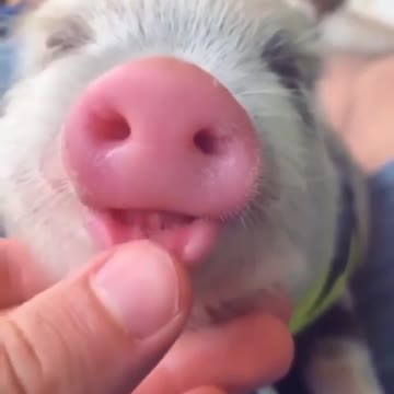 A charge of kindness