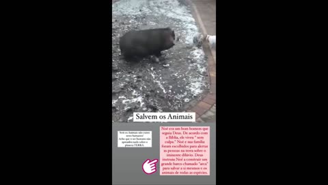 STORIES DA NADJA PESSOA 10/05/2024