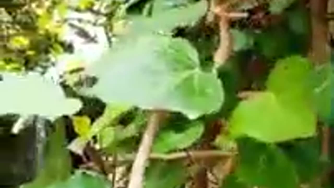 OUR ADVENTURE IN SELIANA