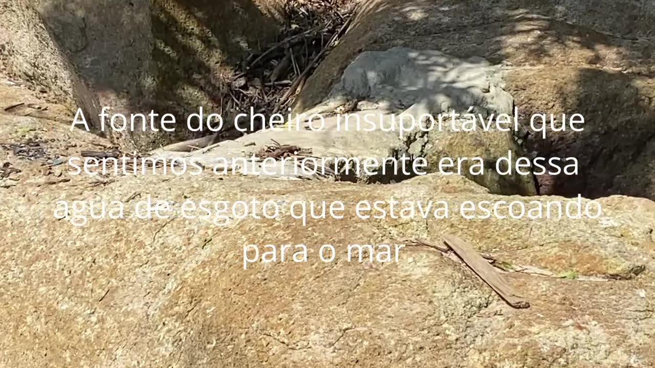 Acesse o vídeo completo: Flagrei algo Revoltante na Praia da Tainha em Bombinhas!