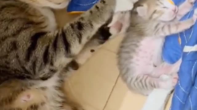 She is mother and baby too😍🥰