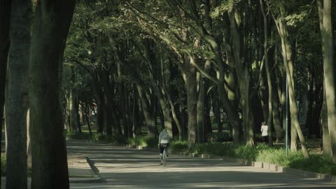 Cyclist in the park