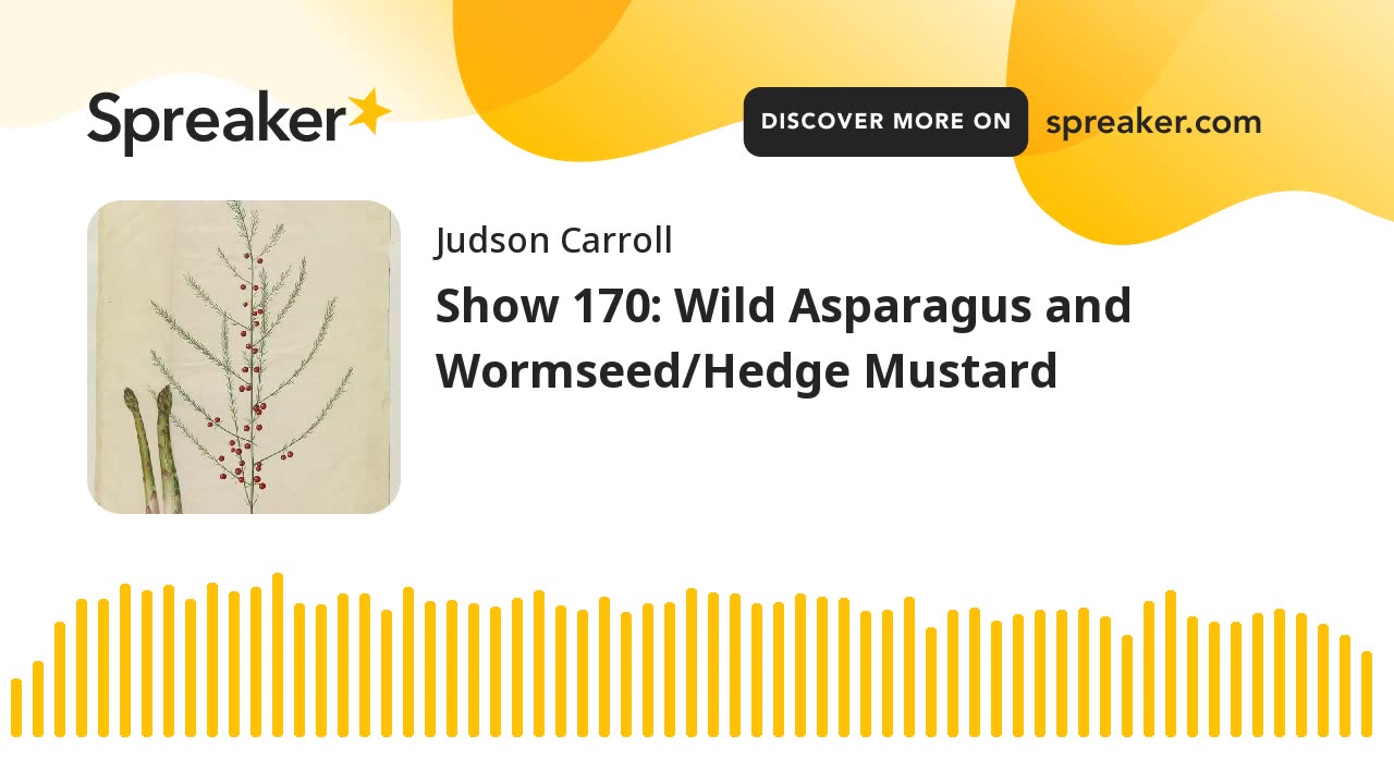 Show 170: Wild Asparagus and Wormseed/Hedge Mustard