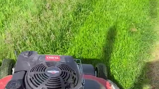 196 Toro Timemaster Mowing LONG Grass