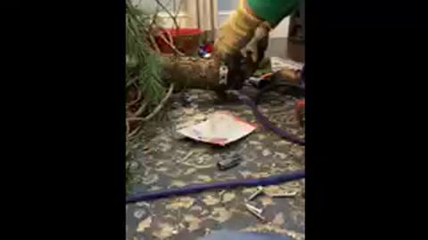 Bionic Christmas tree
