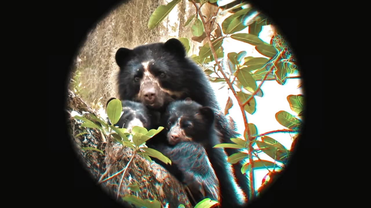 Enjoy these video and follow us to watch good video.