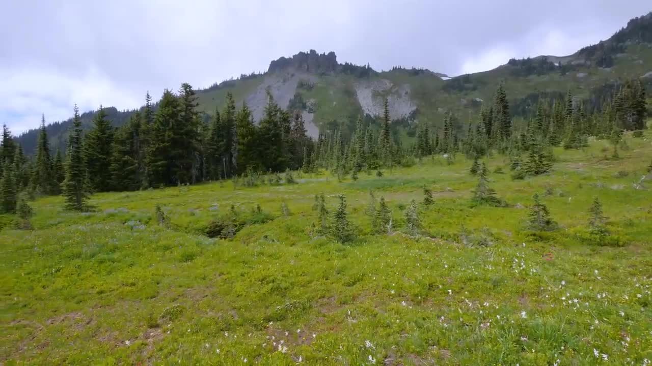 Mount Rainier National Park - Nature Relax Video