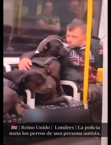 London, U.K. - An autistic man is held at gunpoint while police shoot his beloved pets