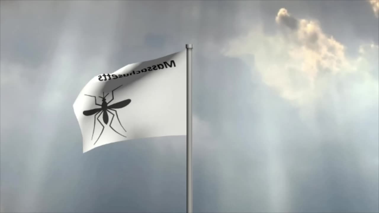 Massachusetts Summer Flag