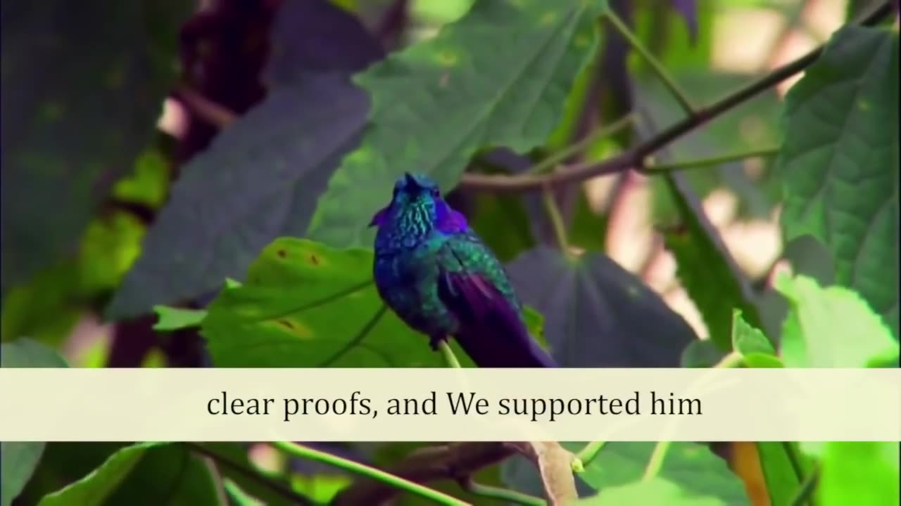 Juz 3 Quran with English audio translation | PARA 3 | Surat Ali Imran Arabic and English translation