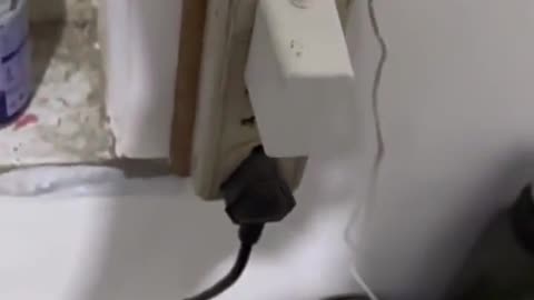 Would it hurt the fly