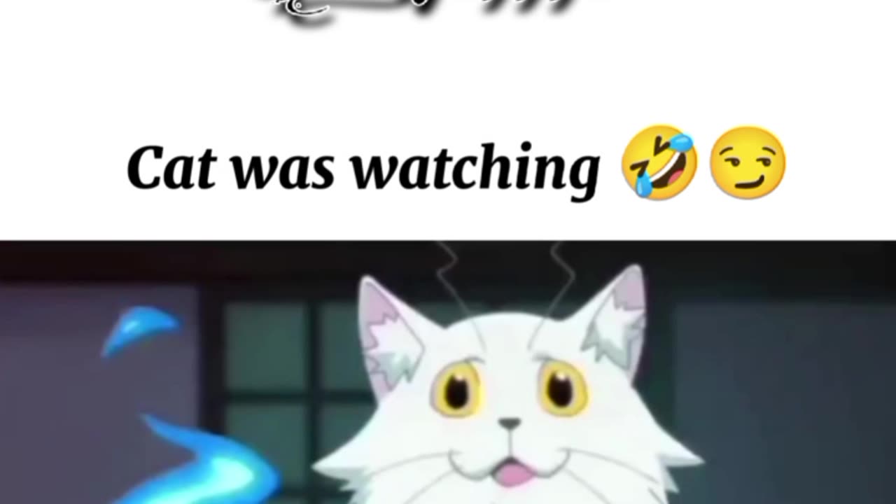 Funny cat moments ๐คฃ