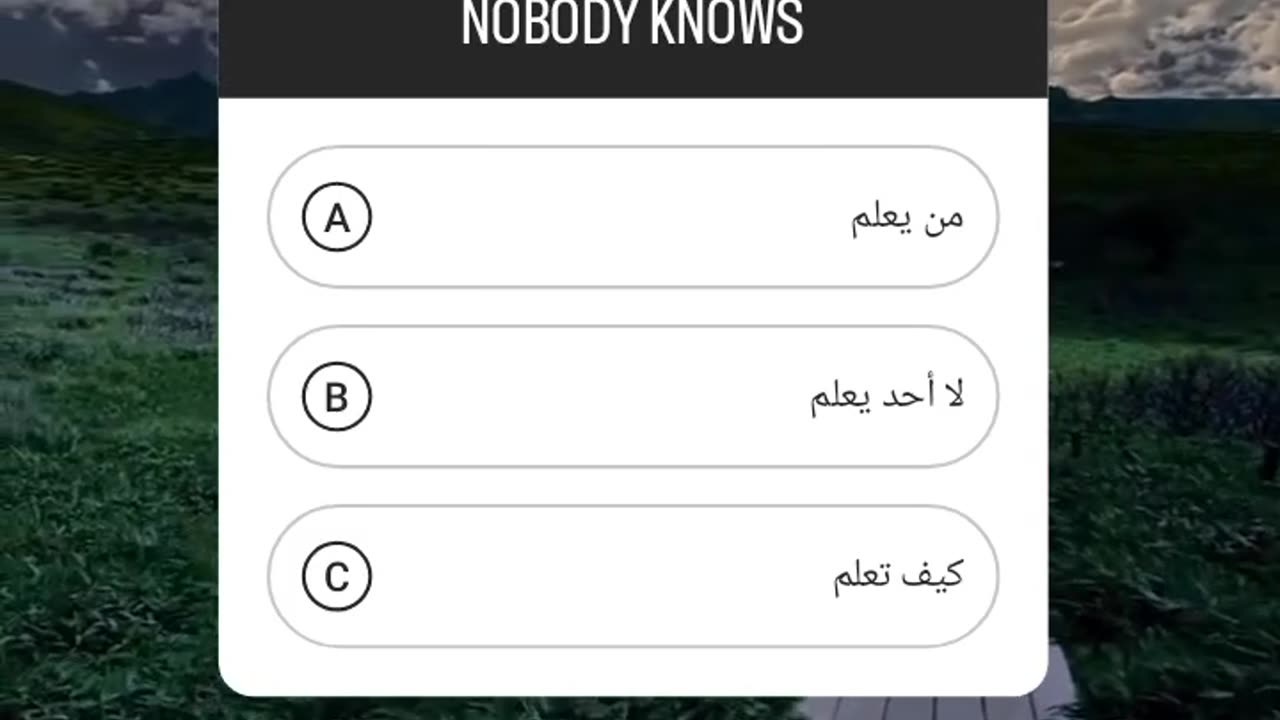 learn arabic