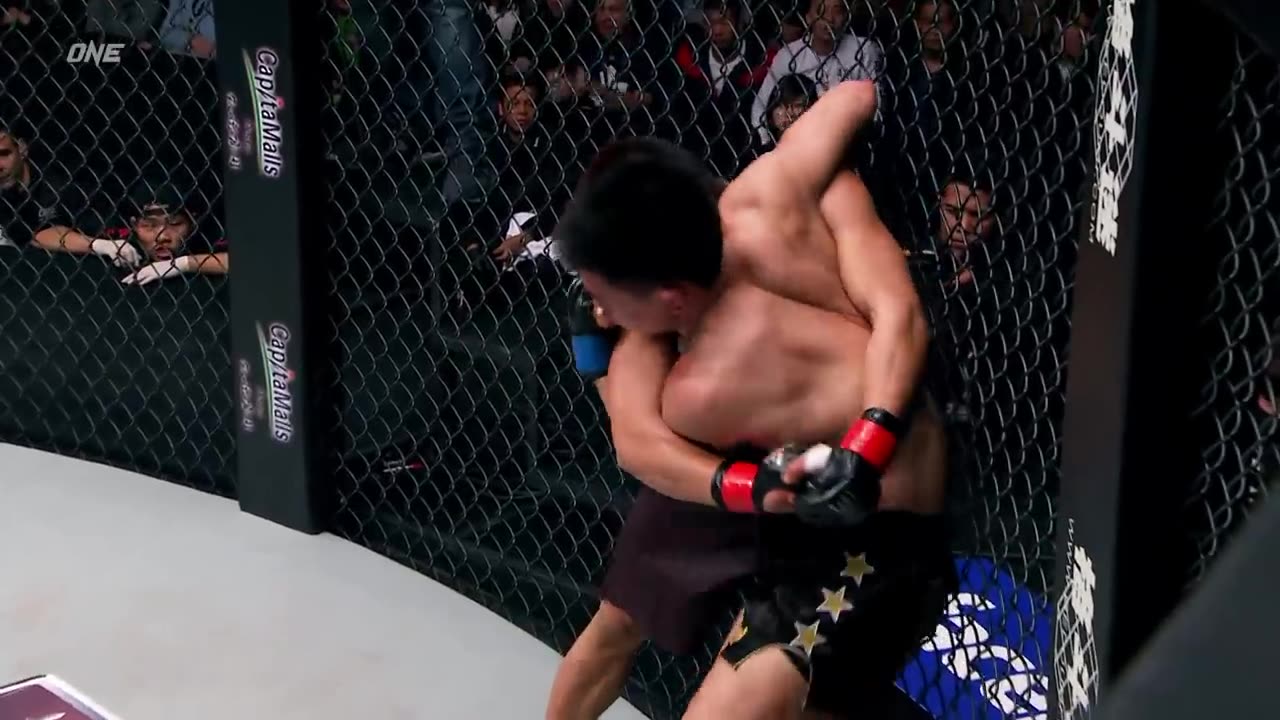 The CRAZIEST Referee Moments In ONE History