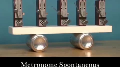 Metronome Spontaneous Synchronization