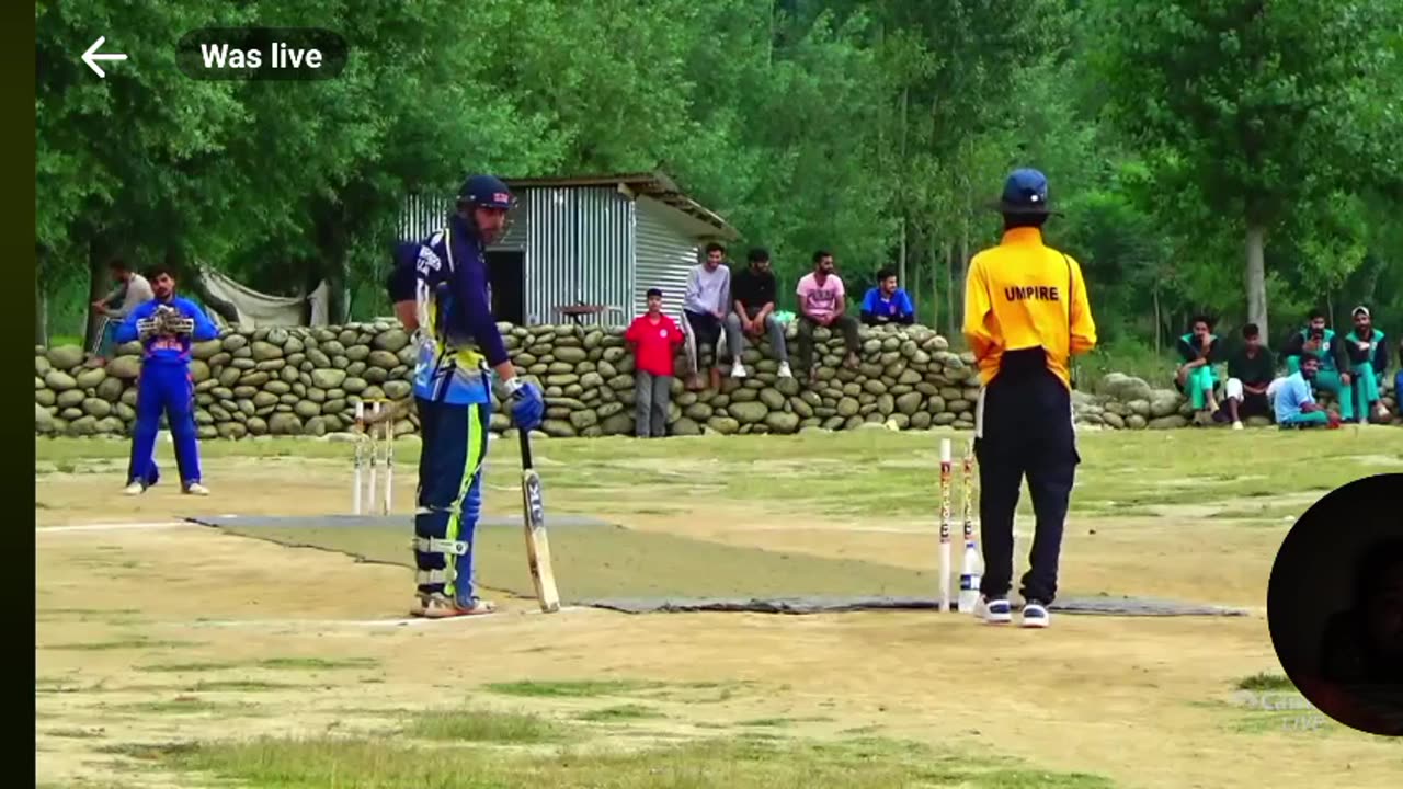 Beautiful Cricket shorts