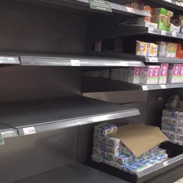 Morrisons Wales Powys : no eggs again 13/04/2023: hens have lock downs ?
