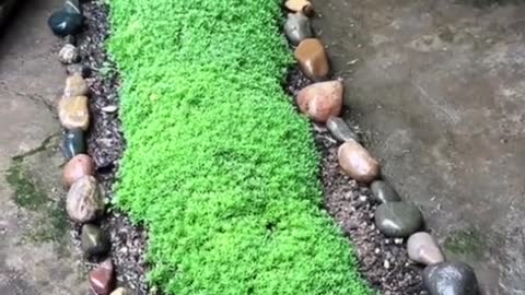 A stream that won't dry