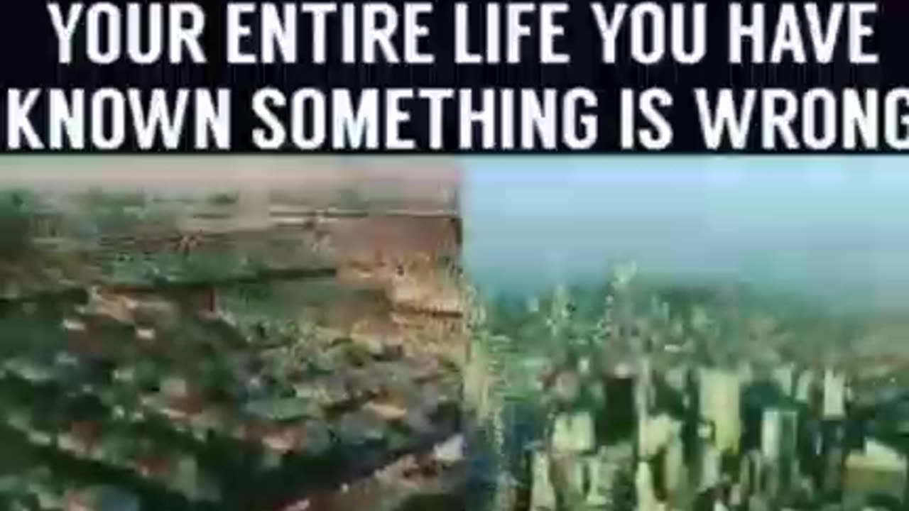 Entertainment-They Live