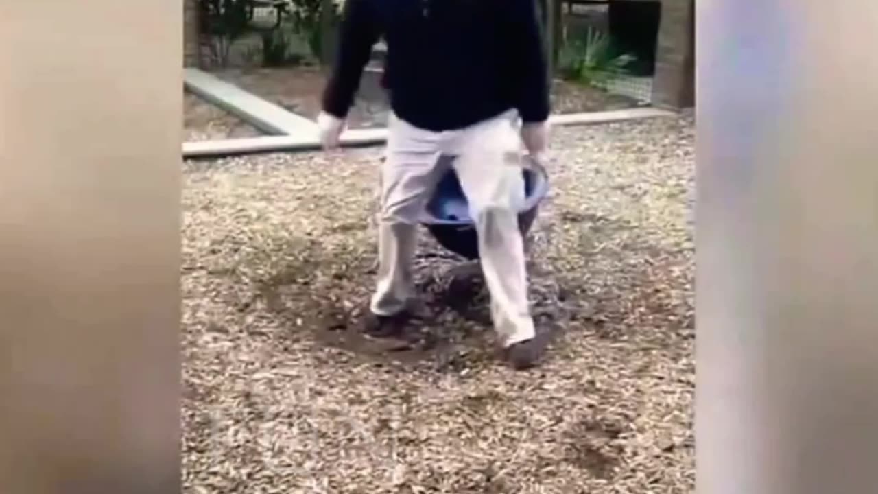 Funny Shorts part 4