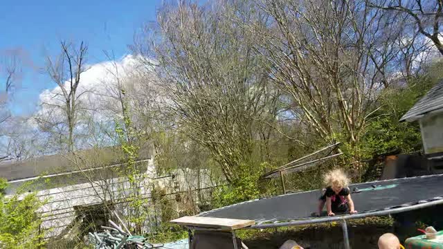 Doves