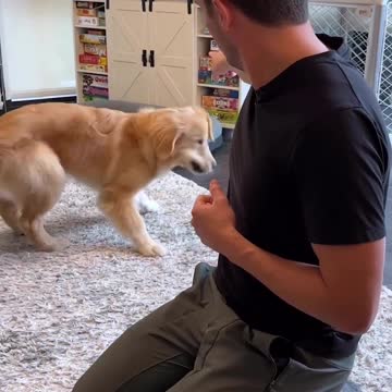 Puppy Training :Teaching Basic Commands"
