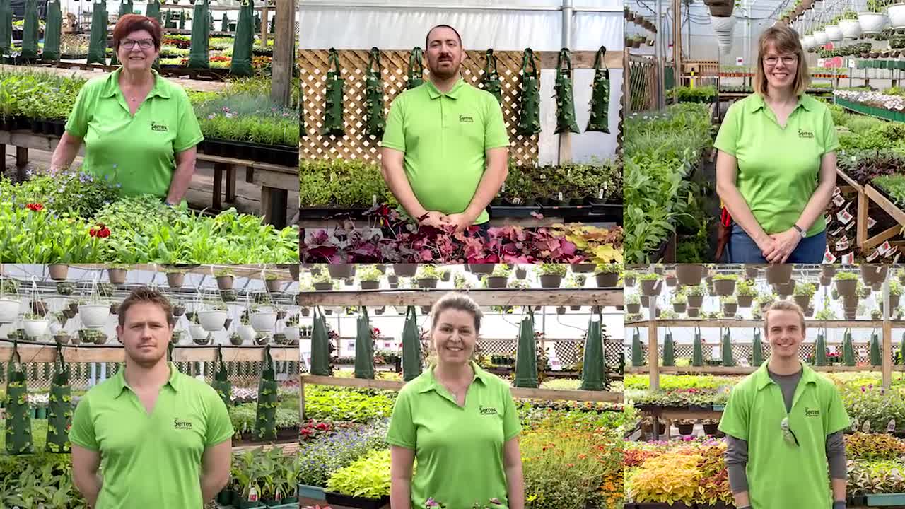 Les Serres St-Georges - Vente d'annuelles