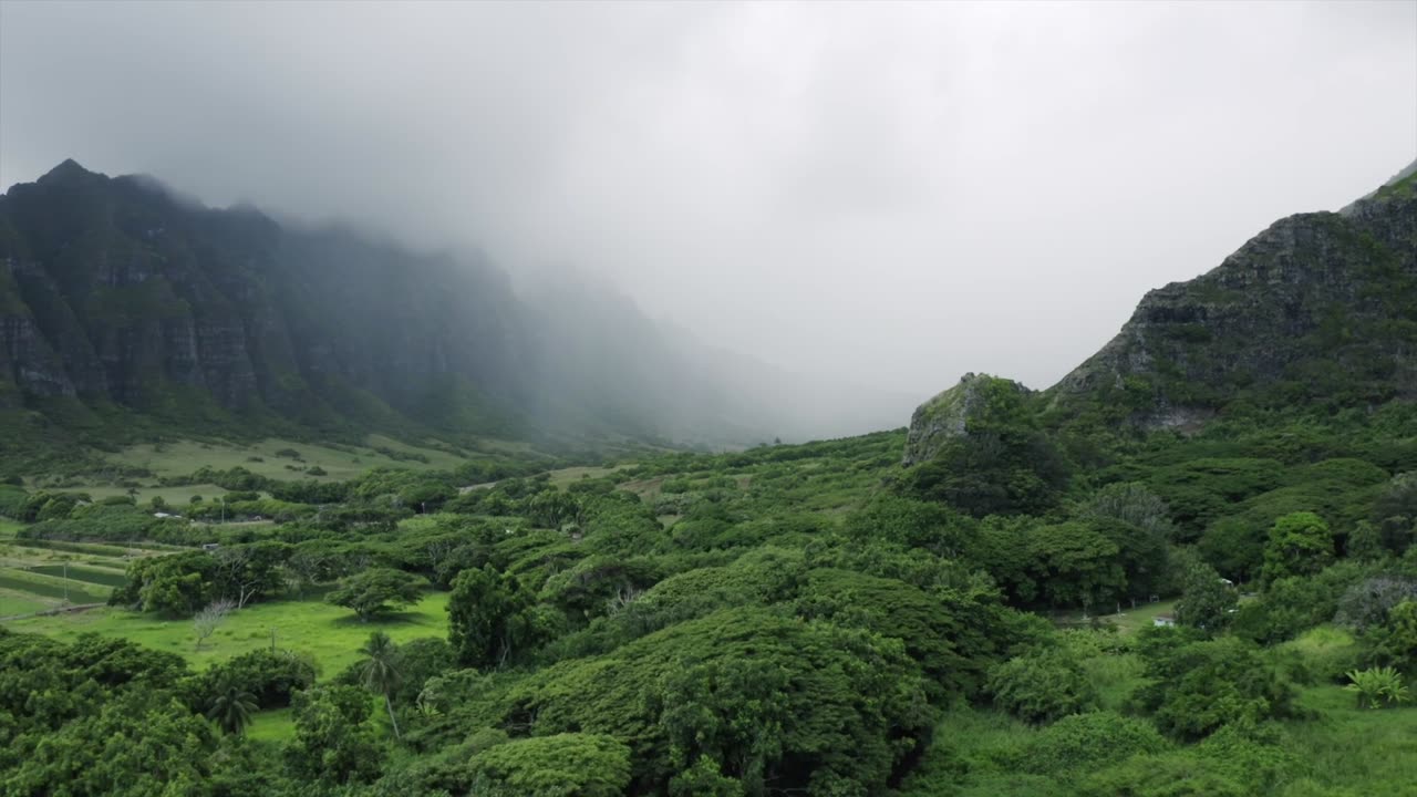 A Foggy Mountain View