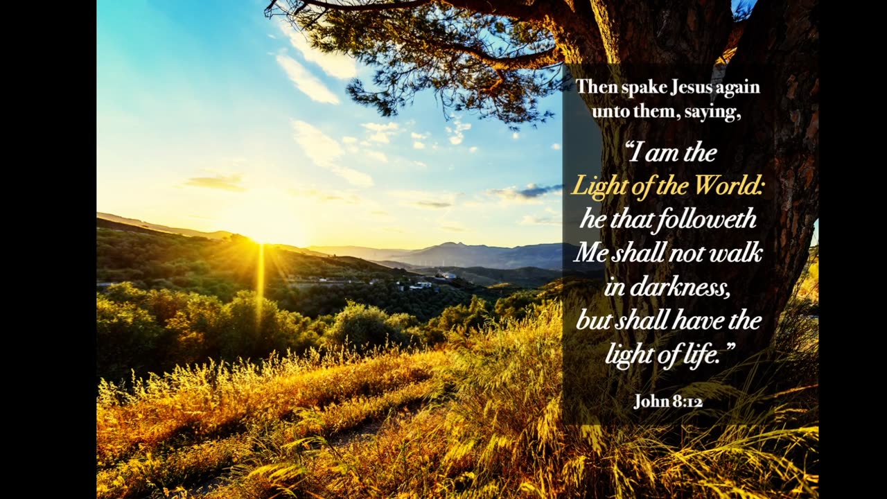 Book of Jeremiah (Chapter 28 & 29)