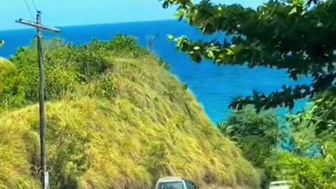 Sea watching is the lowest cost way to decompress