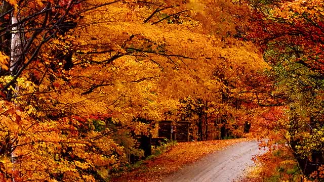 Look forward to life surprises, hope everything has a response