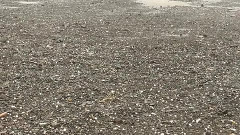 hailstorm | rain in desert #weather #rain #hailstorm