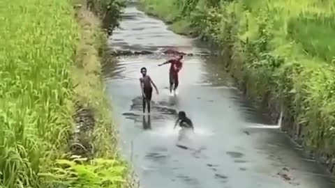 Summer Watersliding kiddos