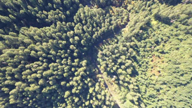 Six Rivers National Forest - A Flight Over the Patterson-Gimlin Film Site