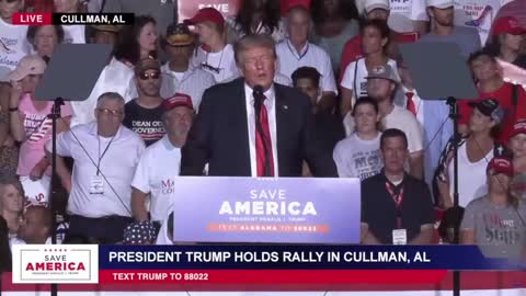 Election Fruad Clip