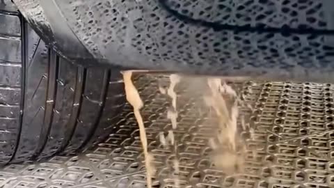 Car wash and clean