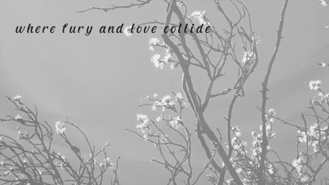 FILELIFE - Blossoms of a Laburnum (Instrumental)