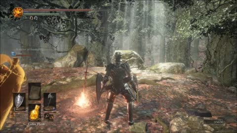 dark souls 3 p 9 - a sacrifice that is burned to ash