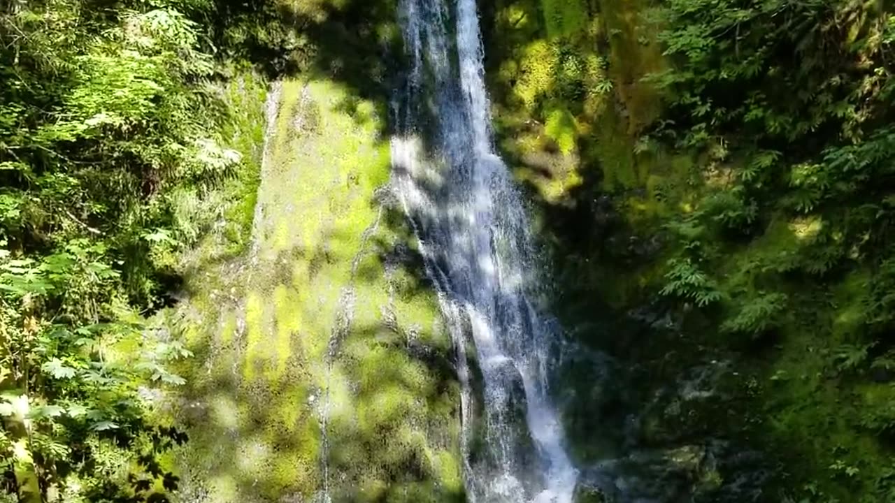 Amazon forest beautiful seen