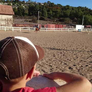 At the horse arena
