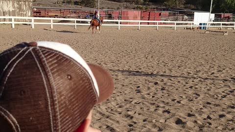 At the horse arena