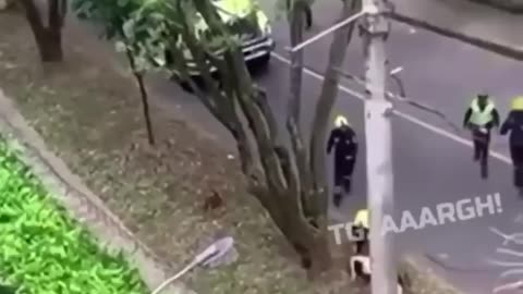 Live Leak~ How Did She Get Up There?