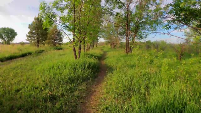 Beautiful place with trees