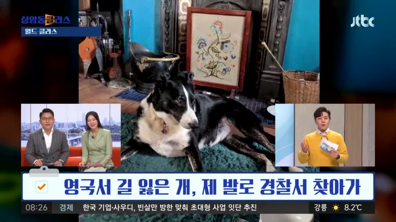 '내 주인 좀 찾아주개'…제 발로 경찰서 찾아간 견공