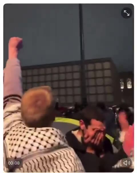 Yale students shout VIVA VIVA PALESTINA as they pull down an American flag on campus