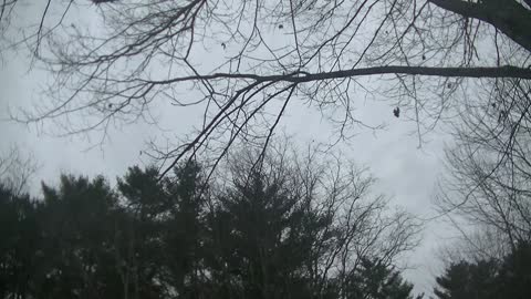 Two Ship Flight of C-130s Over White River Junction, VT