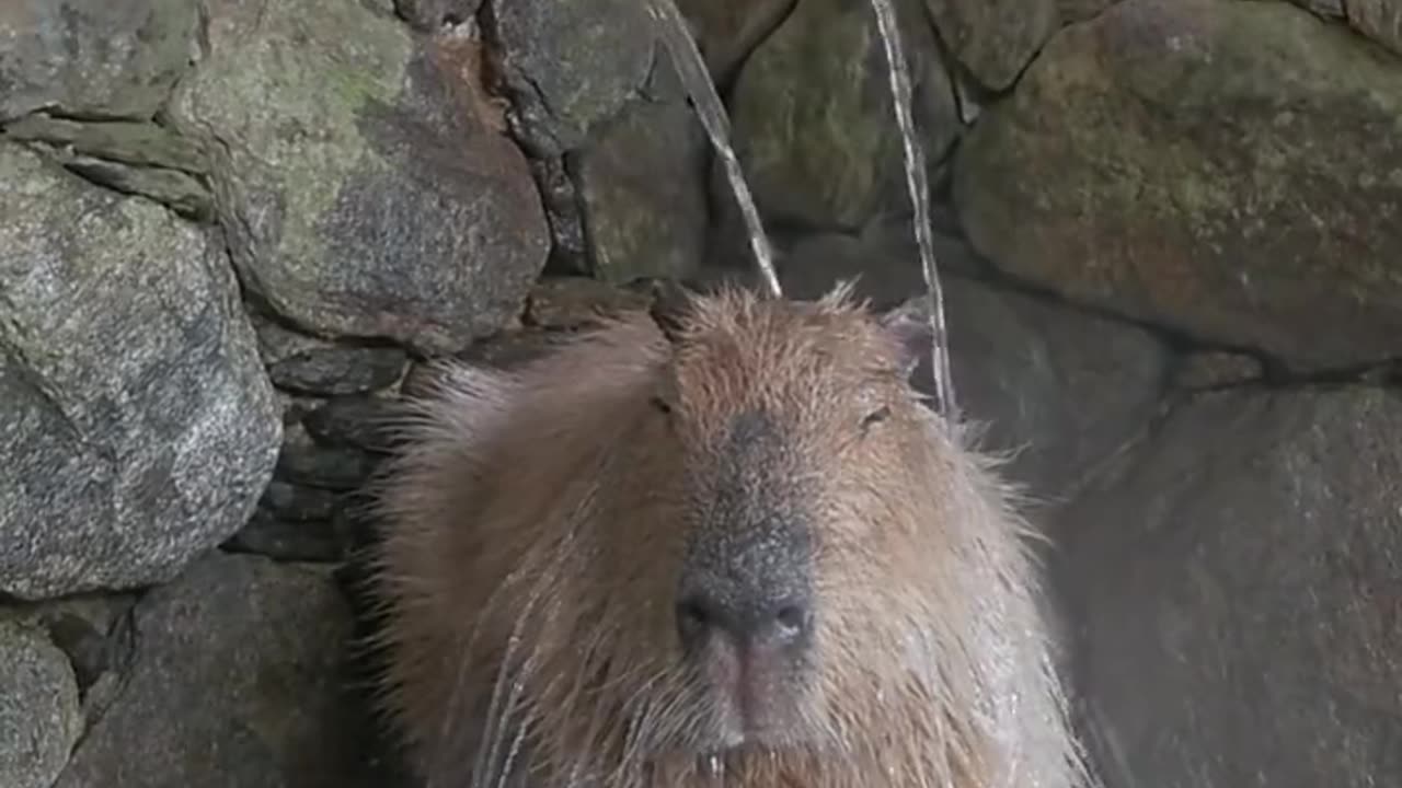 Taking The Needed Hot Bath