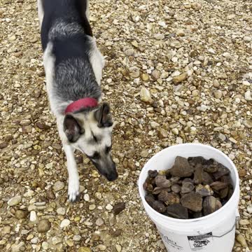 Mabila Evidence Gathering