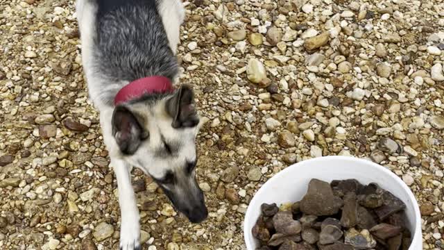 Mabila Evidence Gathering