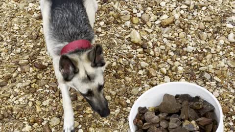 Mabila Evidence Gathering